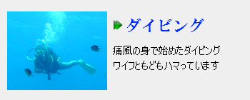 痛風の身で始めたダイビング。ダイビングにまつわるアレコレを